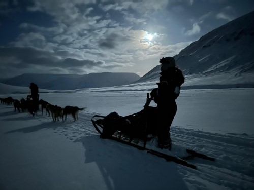 Hundekjoring_Svalbard løonnskonsulent Azets