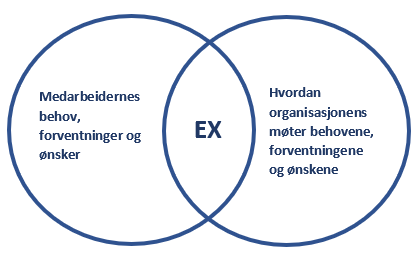 Morgan Employee Experience Advantage