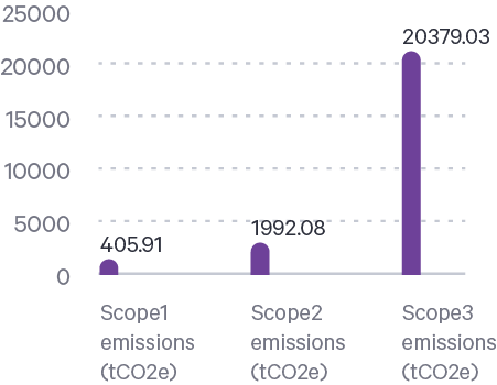 graphic_total_carbon_footprint.png