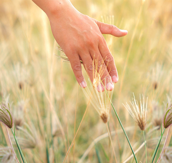 Hand in field