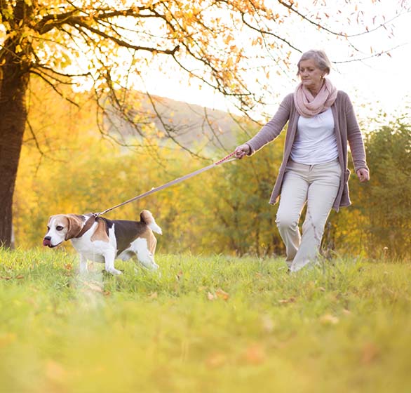 Eldre kvinne som går tur med hund