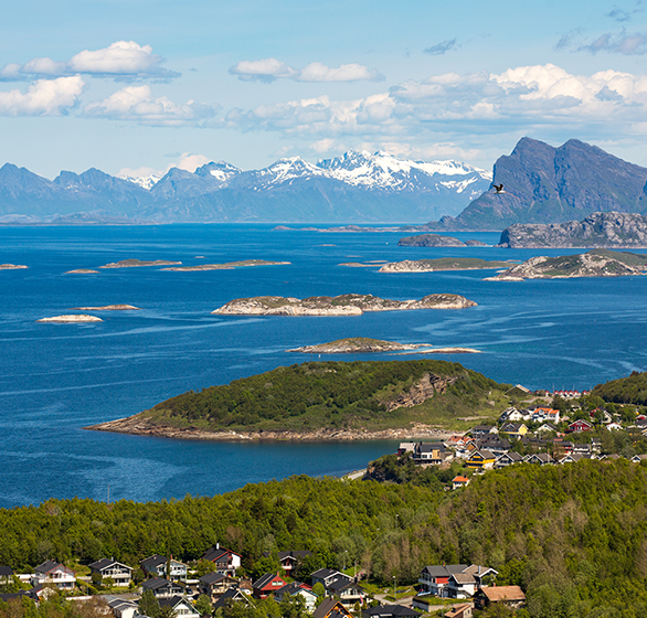 Naturen i Bodø - regnskapskontor i Bodø