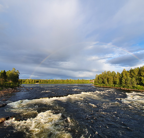 Regnskapsfører Elverum