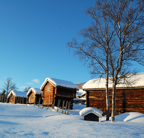 Regnskapsfører Geilo