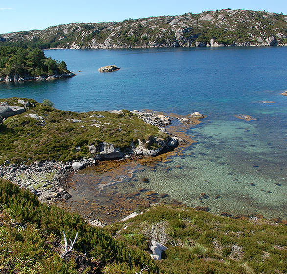 Regnskapsfører på Bømlo